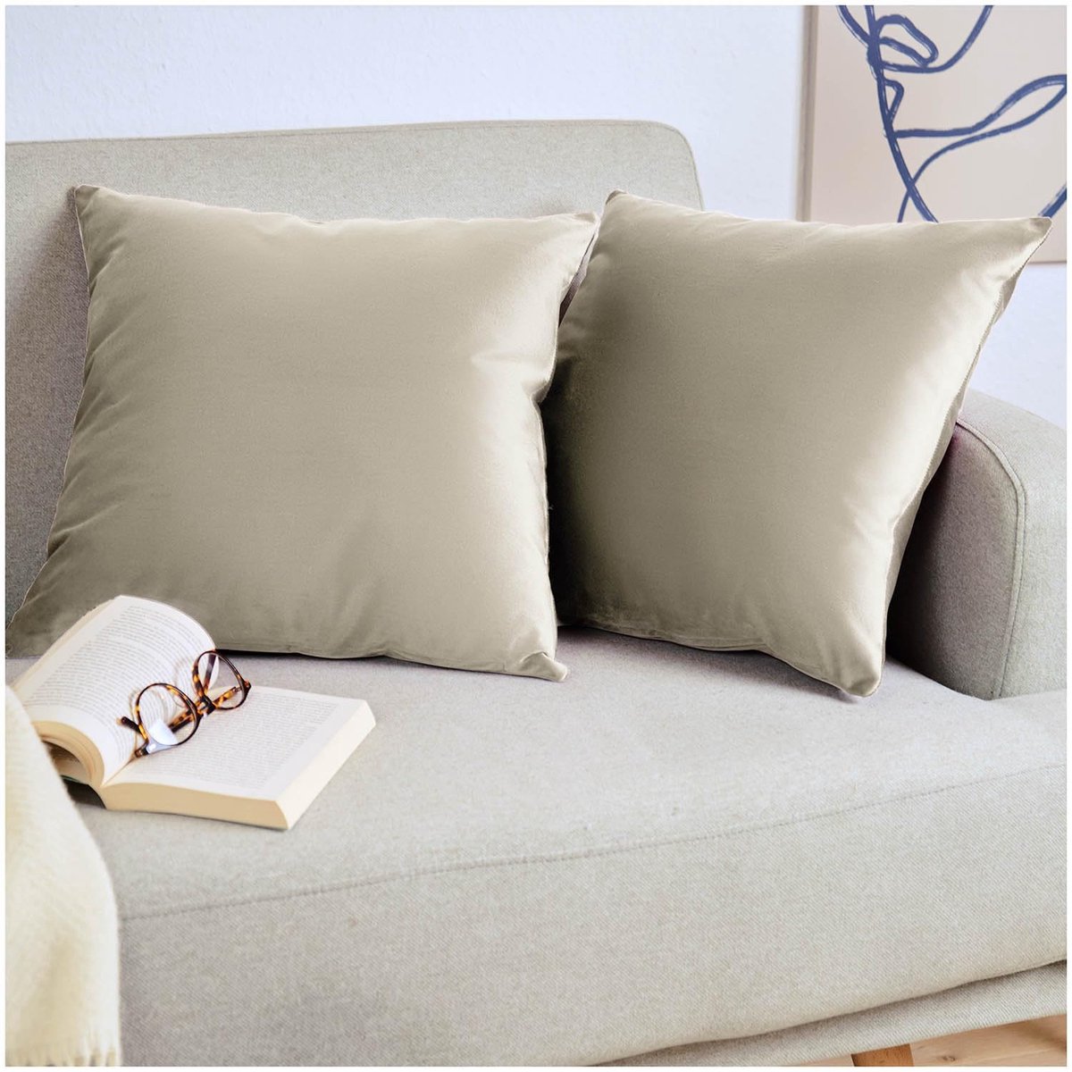 Unyqoos ® Set van 2 Luxe Fluwelen Kussenslopen 45 x 45 cm met Verborgen Ritssluiting, Taupe