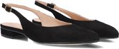 Chaussures pour femmes LINA LOCCHI 010-72 Femme - Zwart - Pointure 40