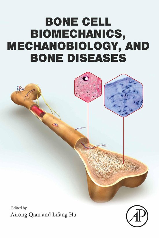 Bone Cell Biomechanics, Mechanobiology and Bone Diseases - cover