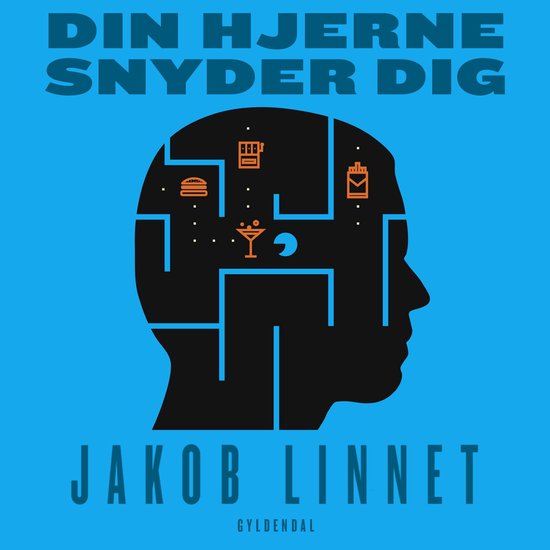Din hjerne snyder dig - cover