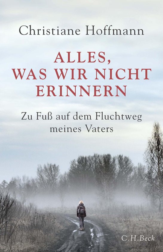 Alles, was wir nicht erinnern - cover