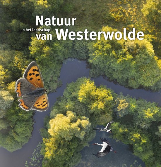 Natuur in het landschap van Westerwolde - cover