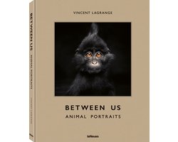 Between Us