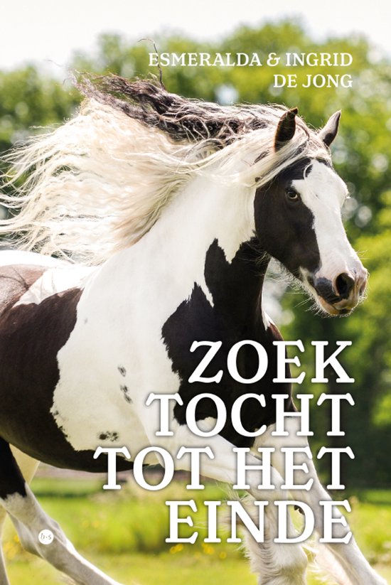 ZOEKTOCHT TOT HET EINDE - cover