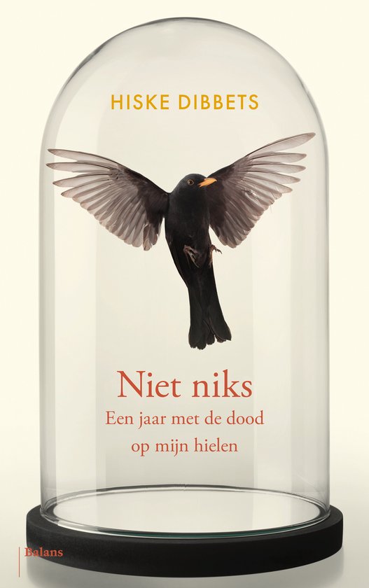 Niet niks - cover