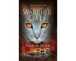 Voor de storm