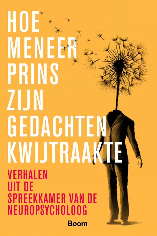 Hoe meneer Prins zijn gedachten kwijtraakte - cover