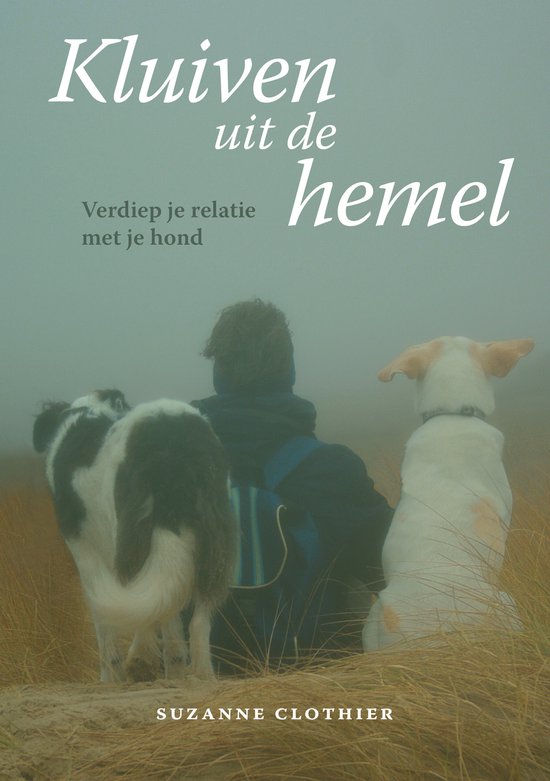 Kluiven uit de hemel - cover