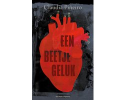 Omslag van Een beetje geluk