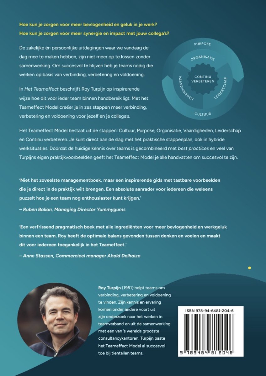 Het Teameffect - back cover