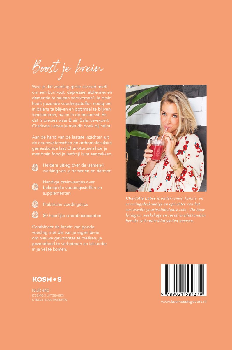 Brain Food Smoothies - back cover