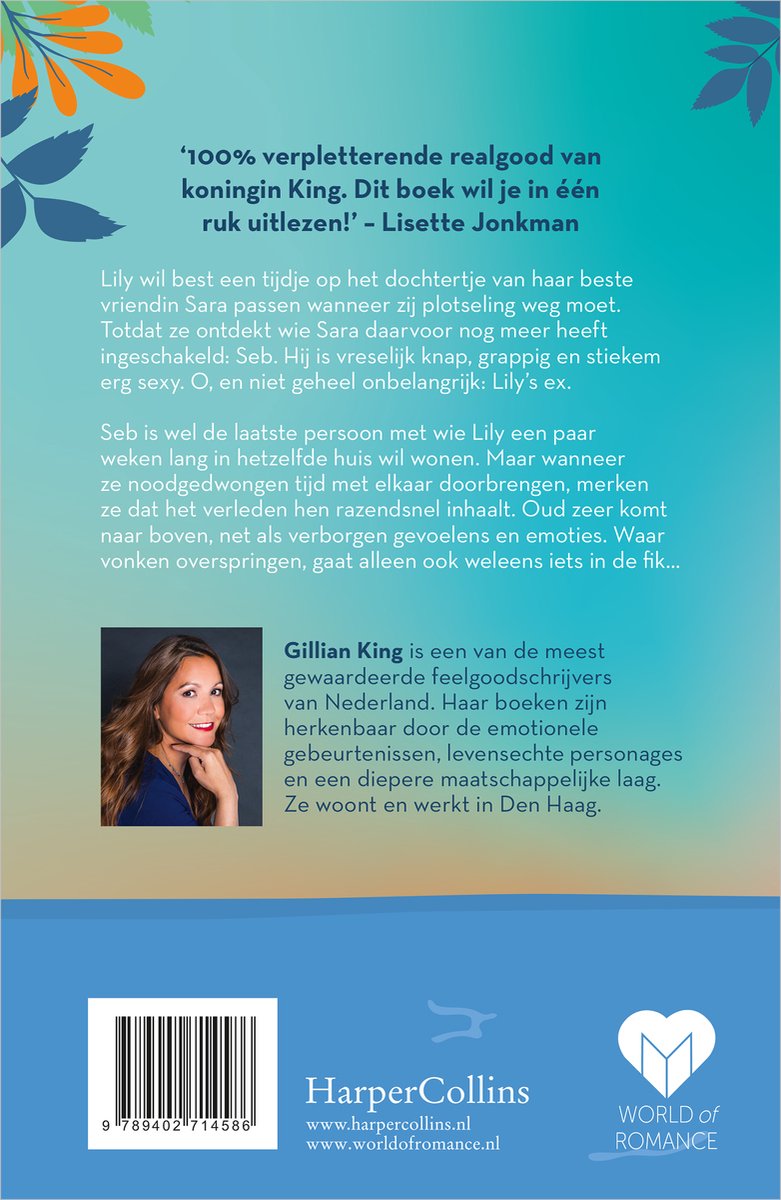 Als ik je weer zie - back cover