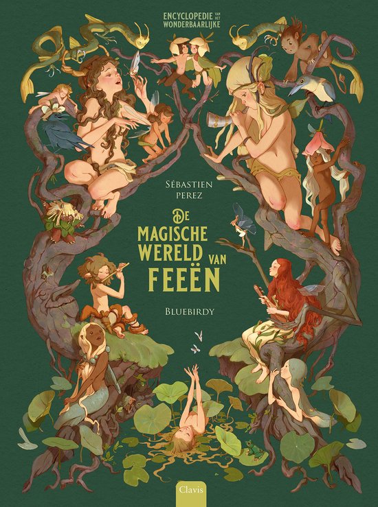 Clavis De magische wereld van feeën. 12+ - cover