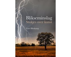 Omslag van Blikseminslag