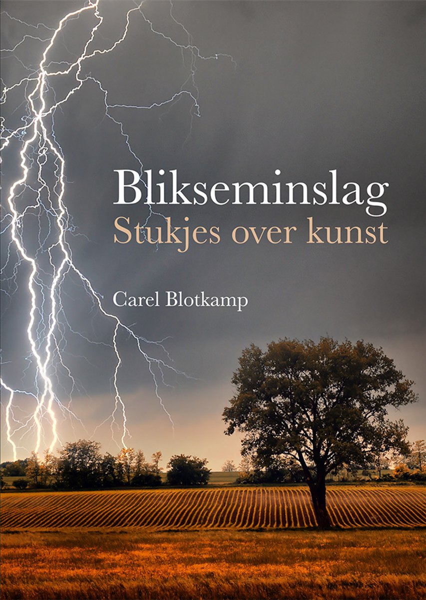Omslag van Blikseminslag