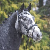 Wembley Hoofdstel X Line Bridle  maat pony