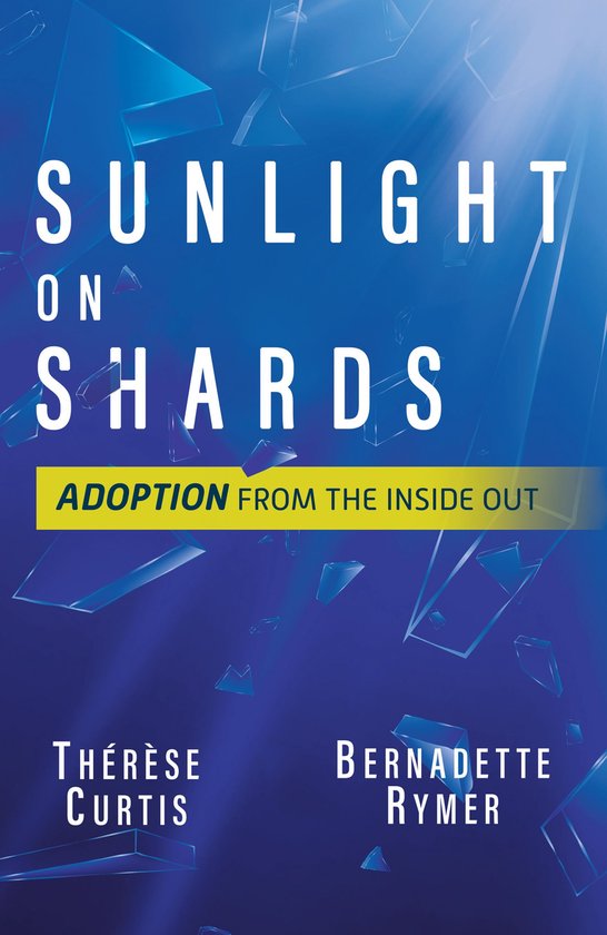 Sunlight on Shards - cover