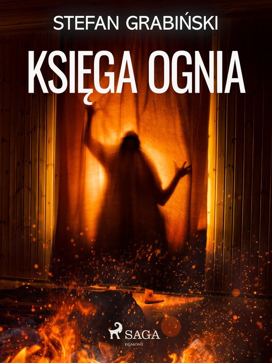 Księga ognia - cover