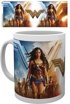 DC Comics Wonder Woman Group Mok