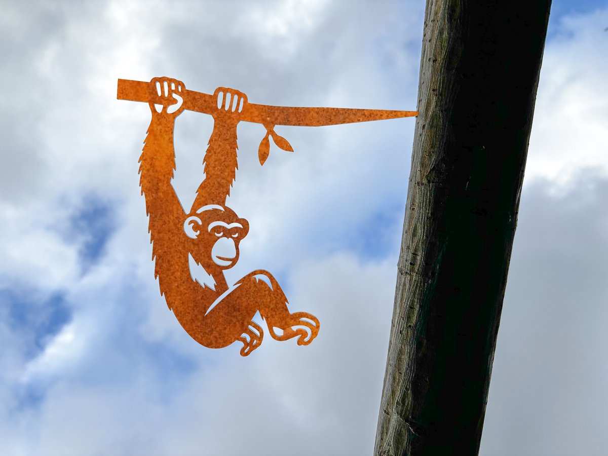 Chimpansee aan tak Tuindecoratie – Metaal Silhouet voor Boom of Schutting – Cortenstaal – Cadeau voor Tuinliefhebber – Lokale Productie - Boomprikker - Steelhouet