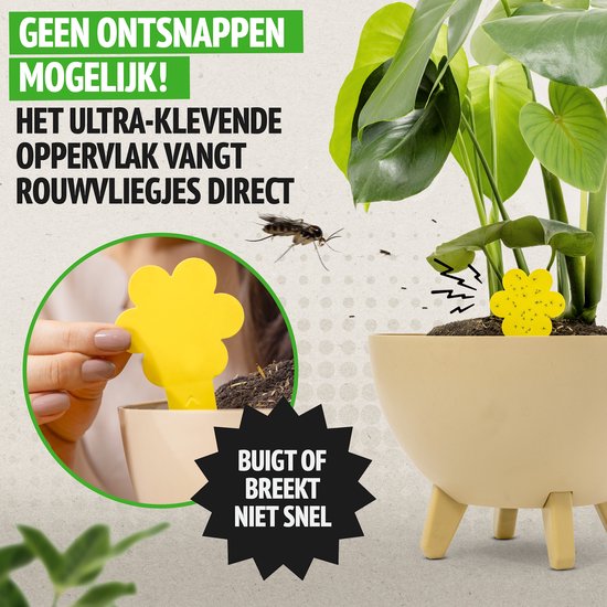 Een gele, bloemvormige vliegenvanger met rouwvliegjes erop, geplaatst in een plant. Een vrouw toont hoe je de vliegenvanger in de aarde steekt. Tekst: 'GEEN ONTSNAPPEN MOGELIJK!'