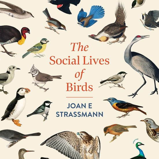 The Social Lives of Birds - cover