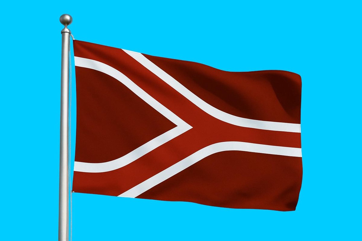 Vlag streek Liemers 300x450 cm