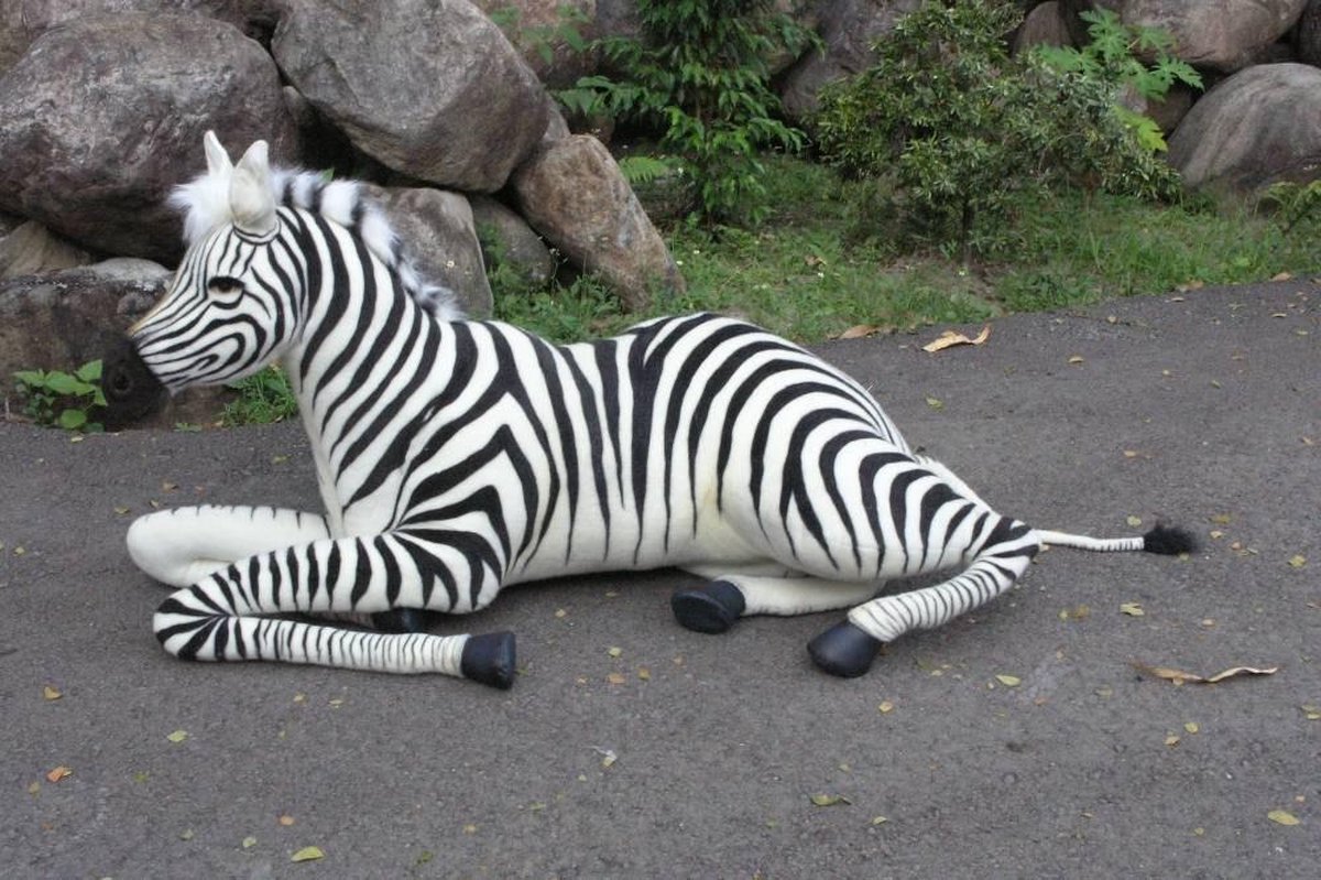 Knuffel Zebra liggend 160 cm, Hansa | bol.com