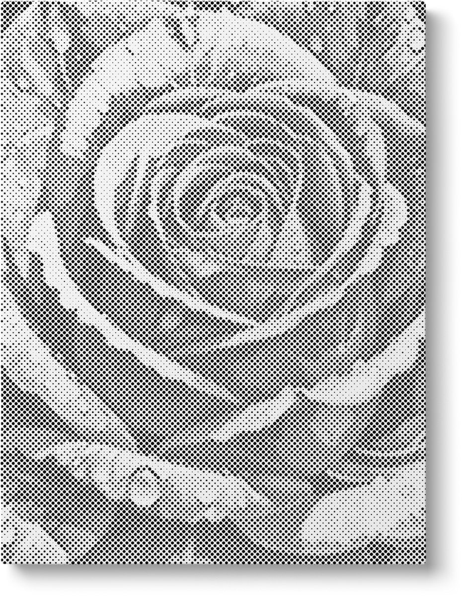 Roos | Dot painting | 40x50cm | Dot painting | Oh My Dotz | Dots stippen | Diamond painting & Schilderen op nummer alternatief | Happy hobby