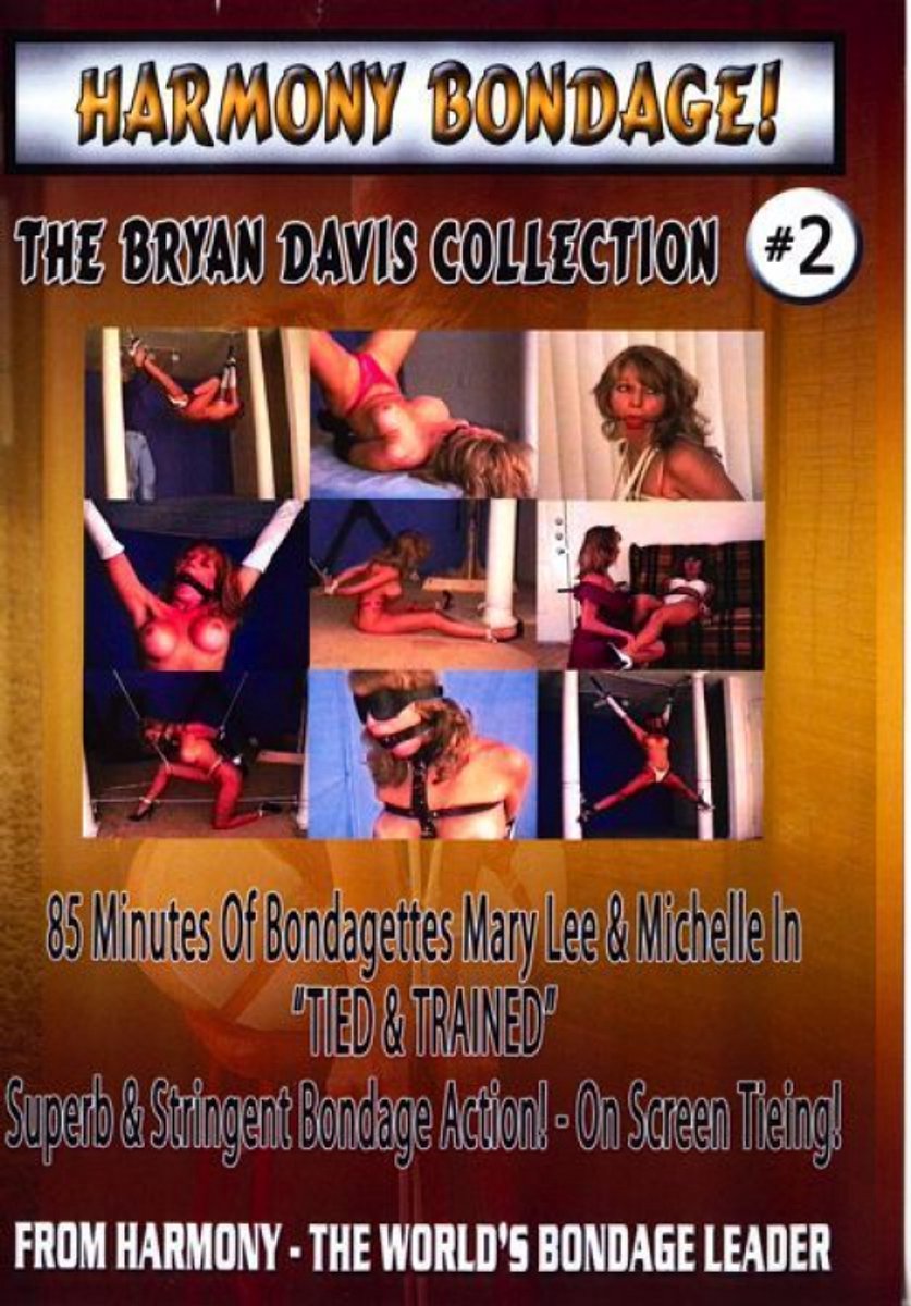 Bryan Davis Collection 2 - BDC02