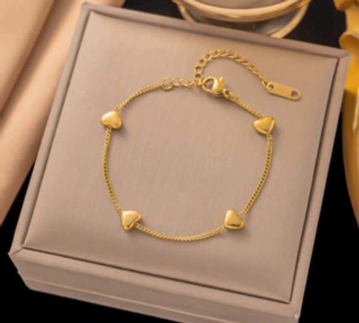 JP Family Jewelry - Luxe Armband - Dubbel Verguld RVS, Lengte 15-20 cm