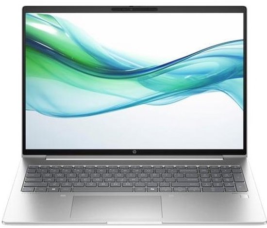 HP ProBook 465 G11 - BC1X1ES#ABH - QWERTY