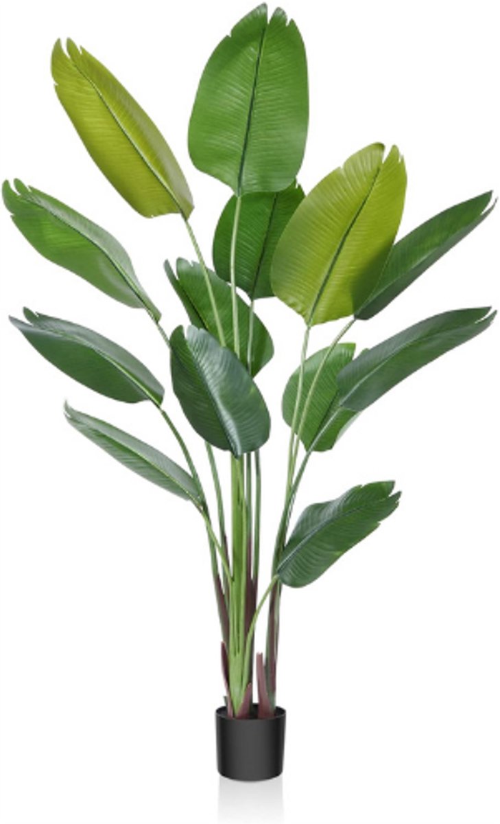 BOG Kunstmatige Paradijsvogelplant 180 Cm - Tropische Nepplant In Pot - Voor Binnen En Buiten - Realistische Palmlook - Moderne Decoratie Voor Huis, Kantoor Of Tuin - Luxe Huiswarming Cadeau GROENTE