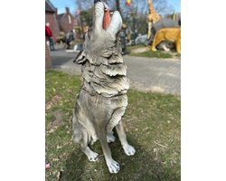 Goodyz-Roofdieren-Wolf- Wolven -zittende wolf - zittend- XXL-Grijs/wit-