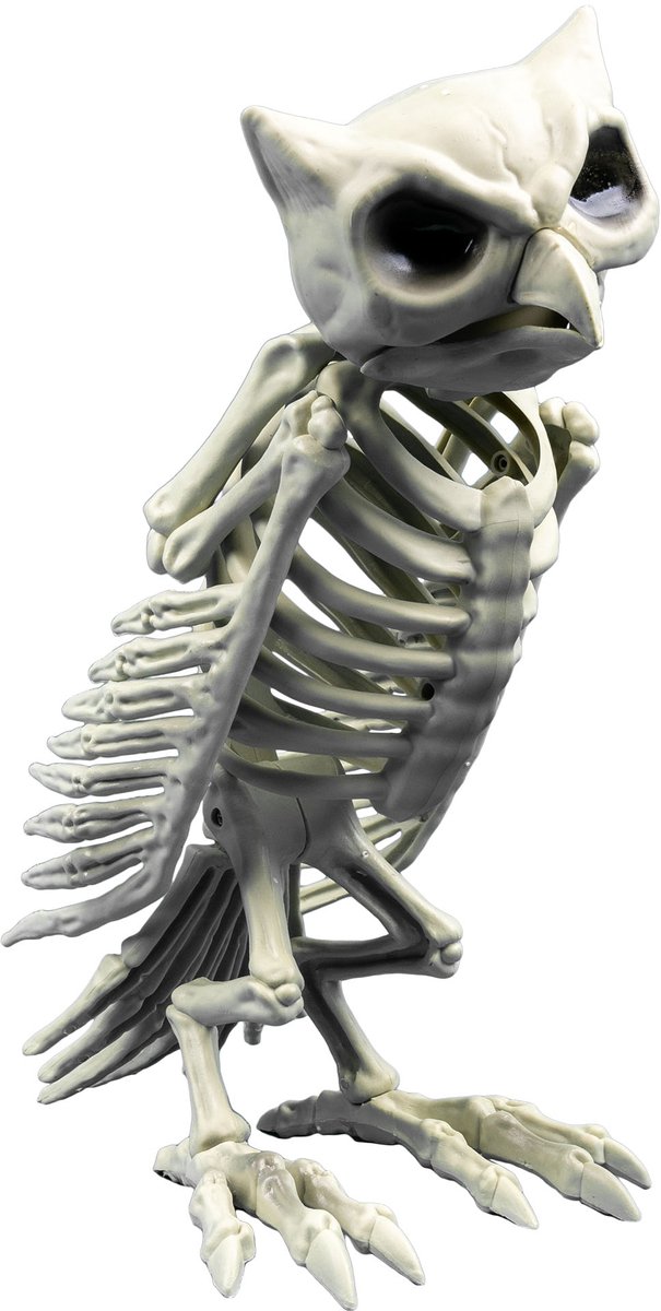 Totally Halloween | Uilen Skelet | 32 cm | Horror | Skelly & Bones