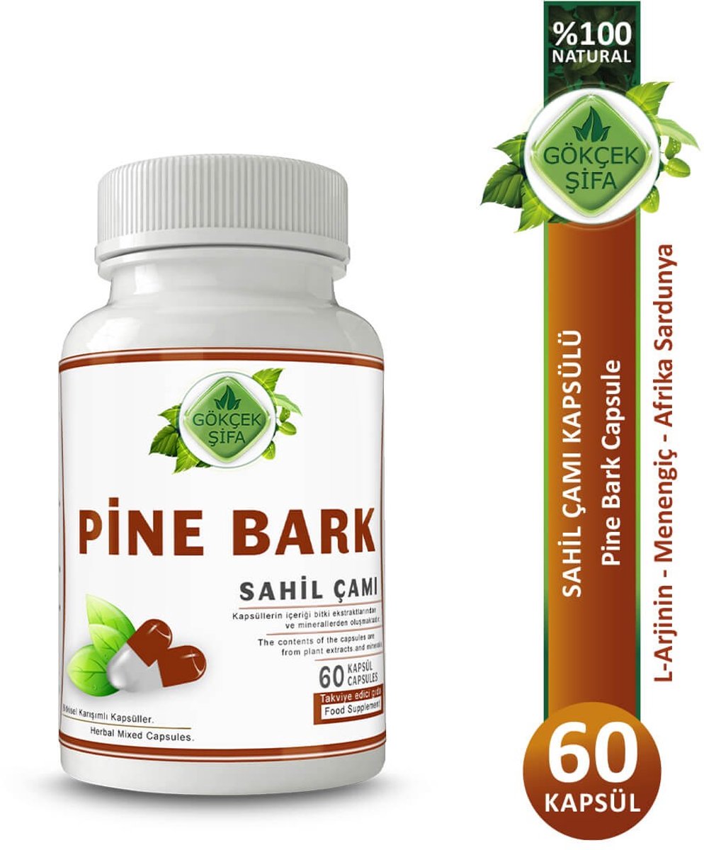 Goedkoopste Pine Bark - Pijnboomschors Extract Capsule - 60 Capsules - Ontstekingsremmend, Antioxidant, Antimicrobieel, Antiviraal, Antidiabetisch - 1 CAPSULE 1000 MG EXTRACT - 60.000 mg Kruidenextract - Geen Toevoegingen - Beste Kwaliteit - Zeeden