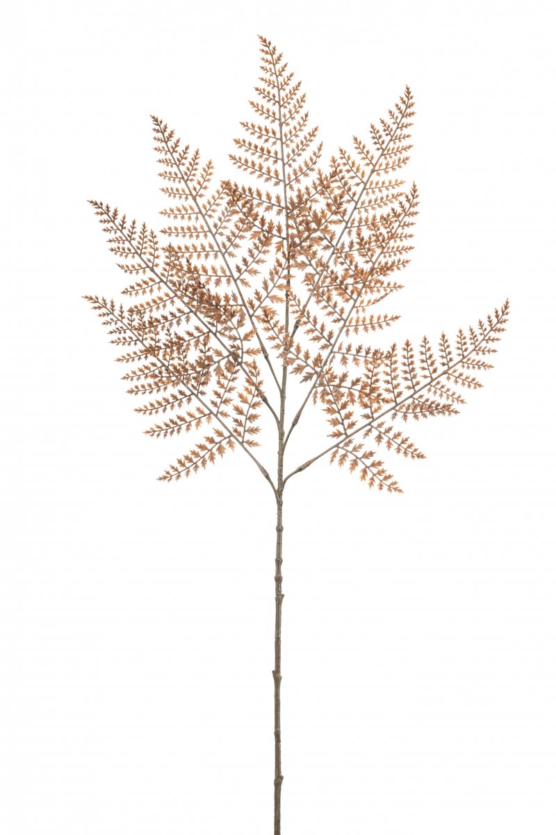 Fleurdirect Kunsttak Fern - Kunststof - Bruin - 0 x 85 x 0 cm (BxHxD)