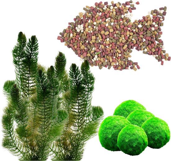 vdvelde.com - Los Vijvervissen Zuurstofplanten Pakket - voor 1000 liter water - 11 Winterharde Vijverplanten + 5 liter visvoer- Helder Vijver Water zonder Algen - Van der Velde Waterplanten