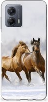 Smartphone hoesje Motorola Moto G53 TPU Case Paarden