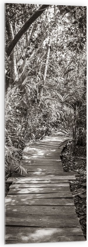 Acrylglas - Vlonder door het Bos (Zwart-wit) - 40x120 cm Foto op Acrylglas (Wanddecoratie op Acrylaat)