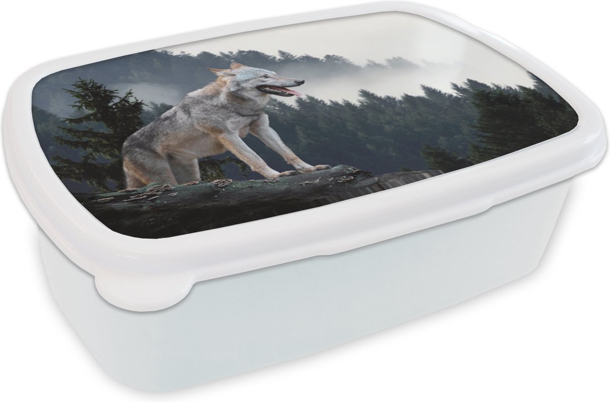 Broodtrommel Wit - Lunchbox - Brooddoos - Wolf - Dier - Bos - 18x12x6 cm - Volwassenen
