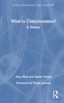 Little Debates about Big Questions- What is Consciousness?