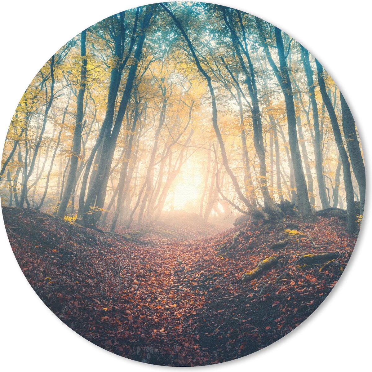 Muismat rond 20x20 cm - Mousepad Bos - Mist - Zon - Herfst - Ronde muismatten