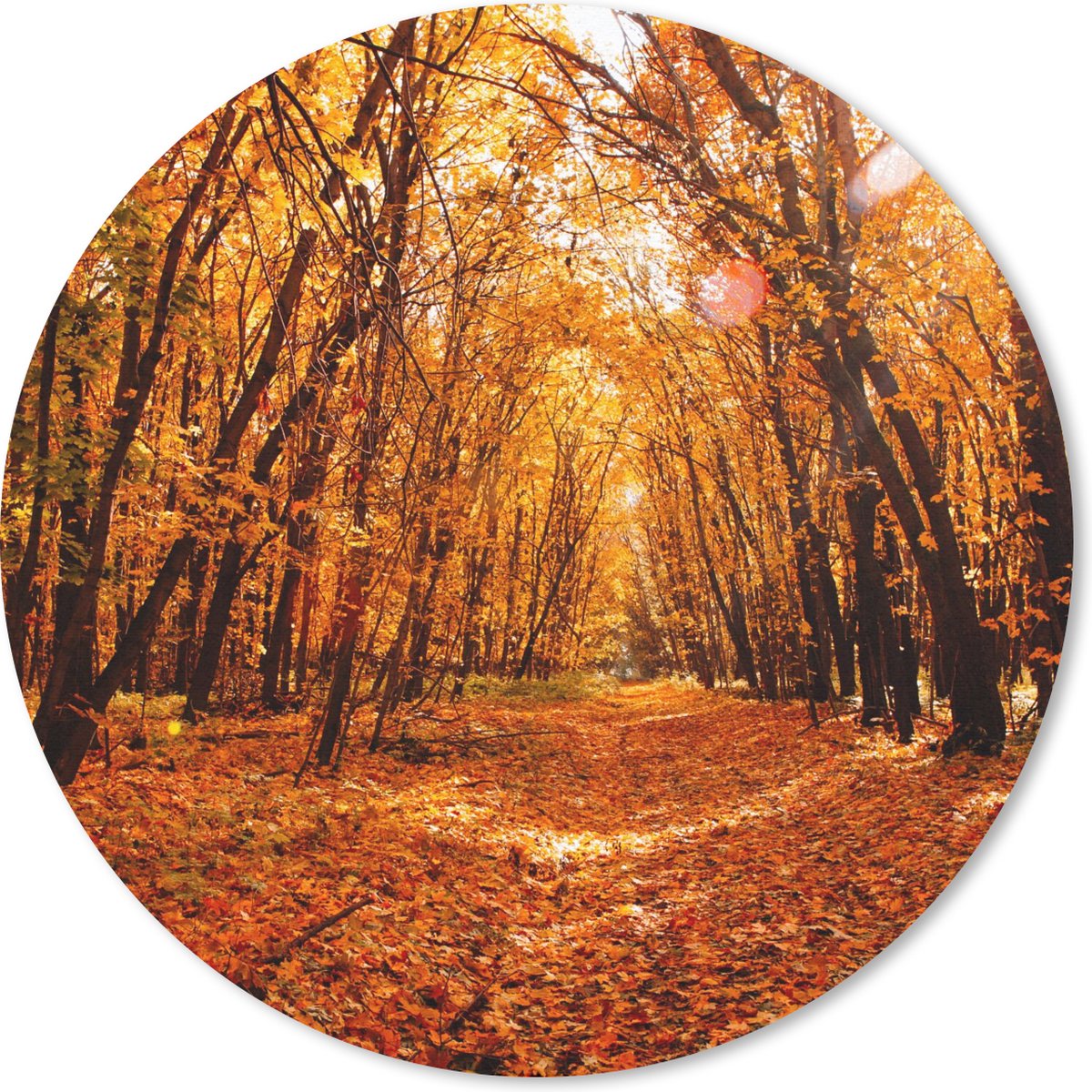 Muismat rond 20x20 cm - Mousepad Herfst - Bos - Bladeren - Seizoenen - Ronde muismatten