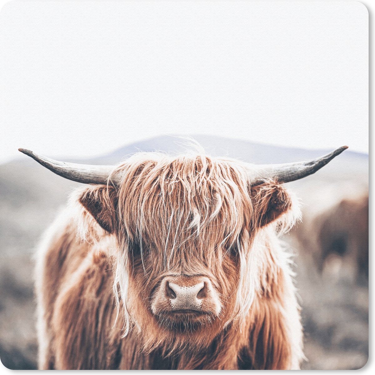 Muismat 20x20 cm - Mousepad Schotse Hooglander - Berg - Hoorn - Muismatten