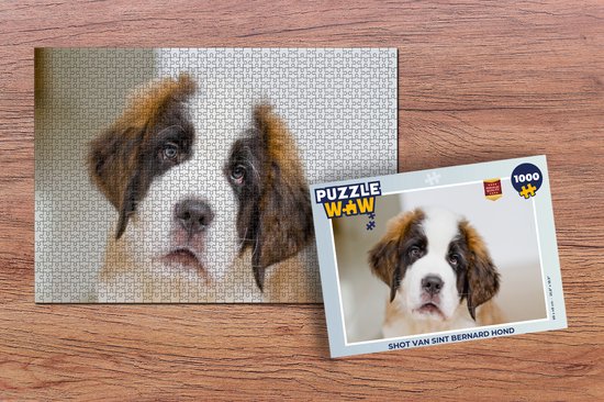 Puzzle Shot du chien Saint-Bernard - Puzzle - Puzzle 1000 pièces adultes - Sinterklaas cadeaux - Sinterklaas pour les grands enfants