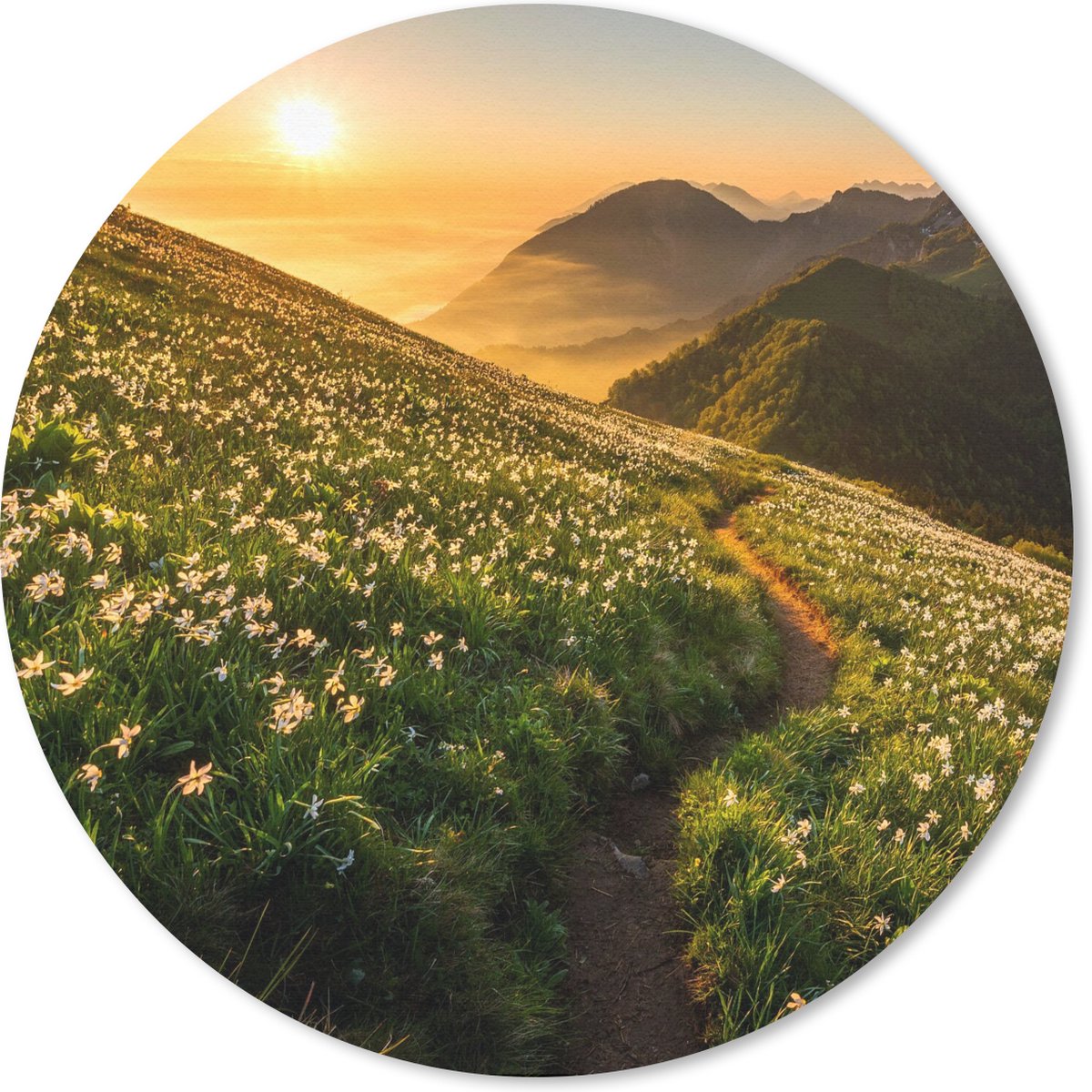 Muismat rond 20x20 cm - Mousepad Bloemen - Zon - Bergen - Ronde muismatten