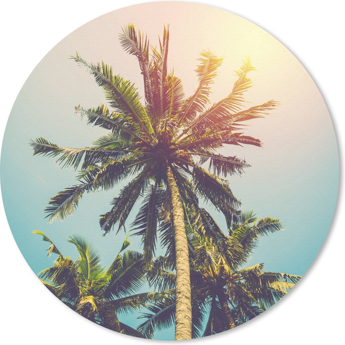 Muismat rond 40x40 cm - Mousepad Palmboom - Zomer - Tropisch - Zon - Ronde muismatten