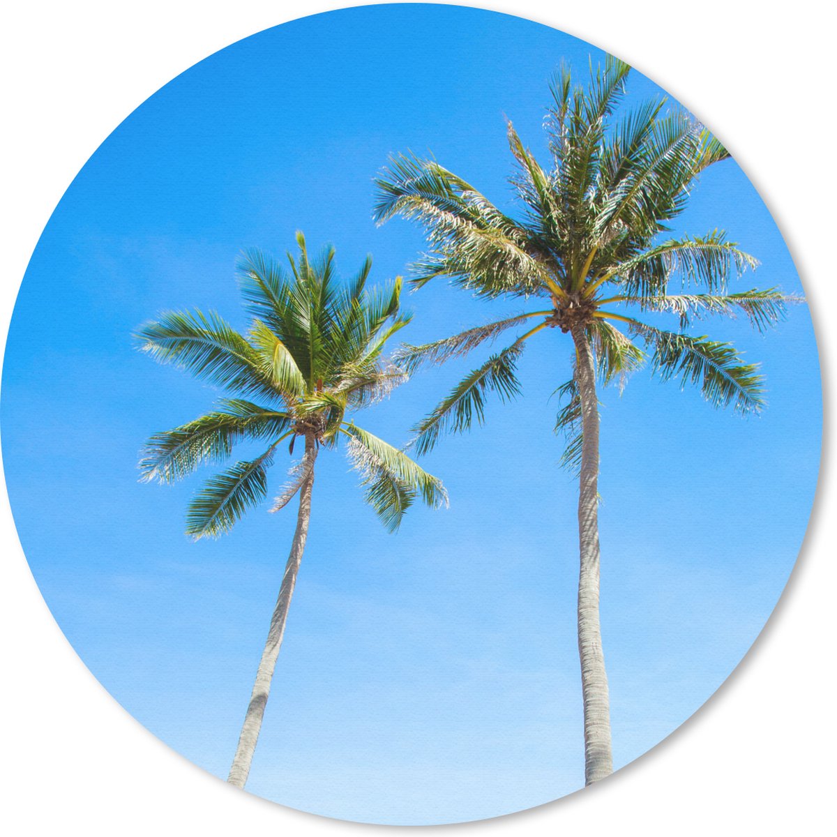 Muismat rond 20x20 cm - Mousepad Palm - Zomer - Tropisch - Ronde muismatten