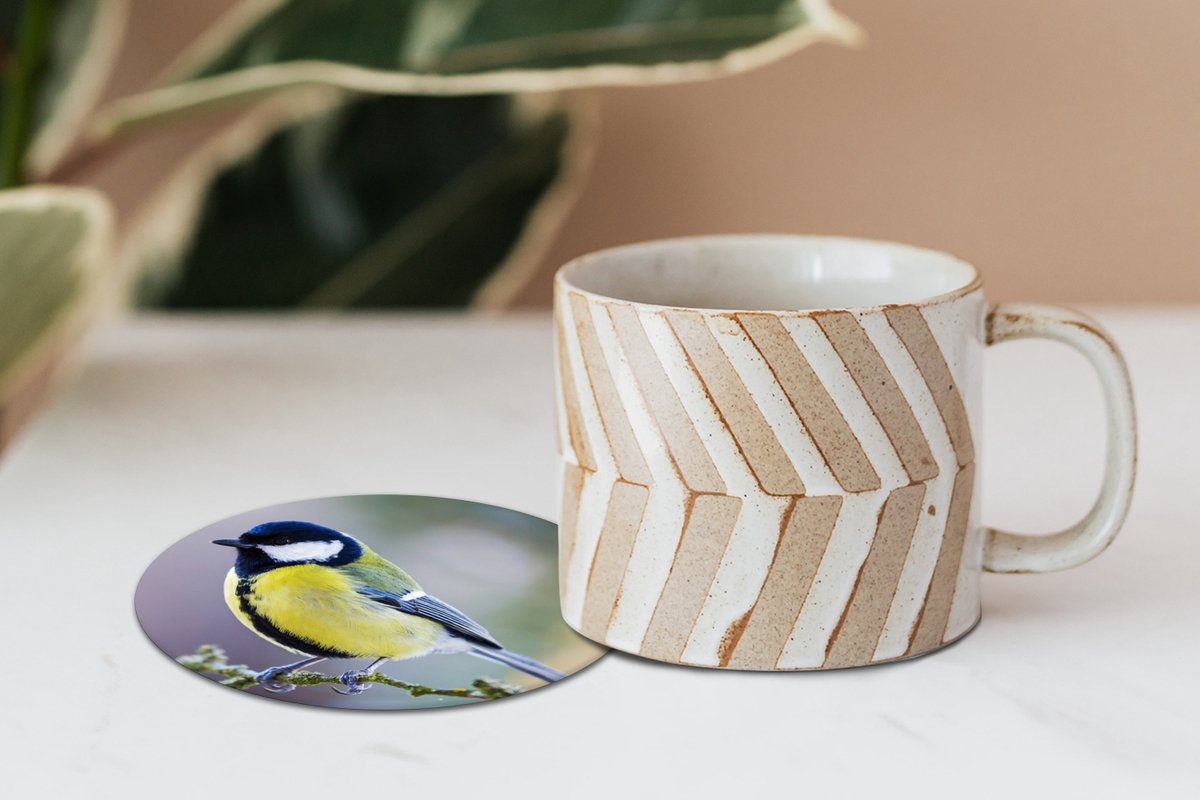 Onderzetters voor glazen - Rond - Koolmees - Vogel - Tak - 10x10 cm - Glasonderzetters - 6 stuks